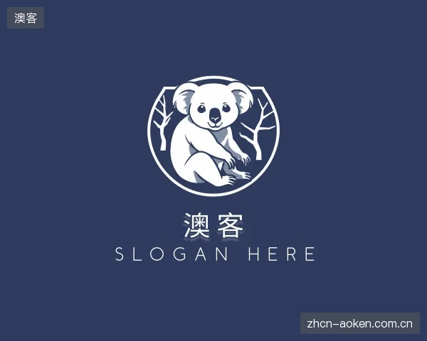 介绍澳客公司